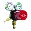 MICHIGAN 310l/min Acetylene Regulator Twin Gauge REGAR270